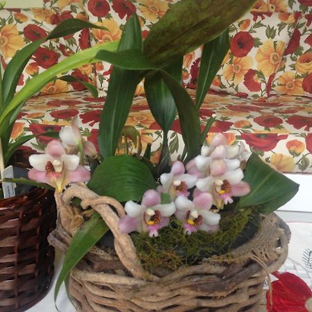 Pousada Beija Flor Gramado Zewnętrze zdjęcie