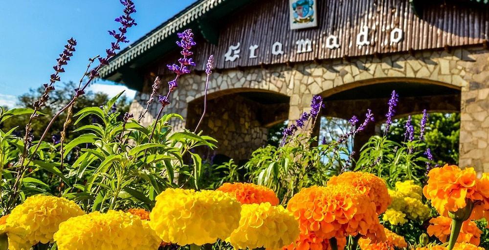 Pousada Beija Flor Gramado Zewnętrze zdjęcie